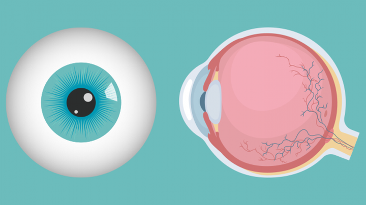 Retinopathy of Prematurity